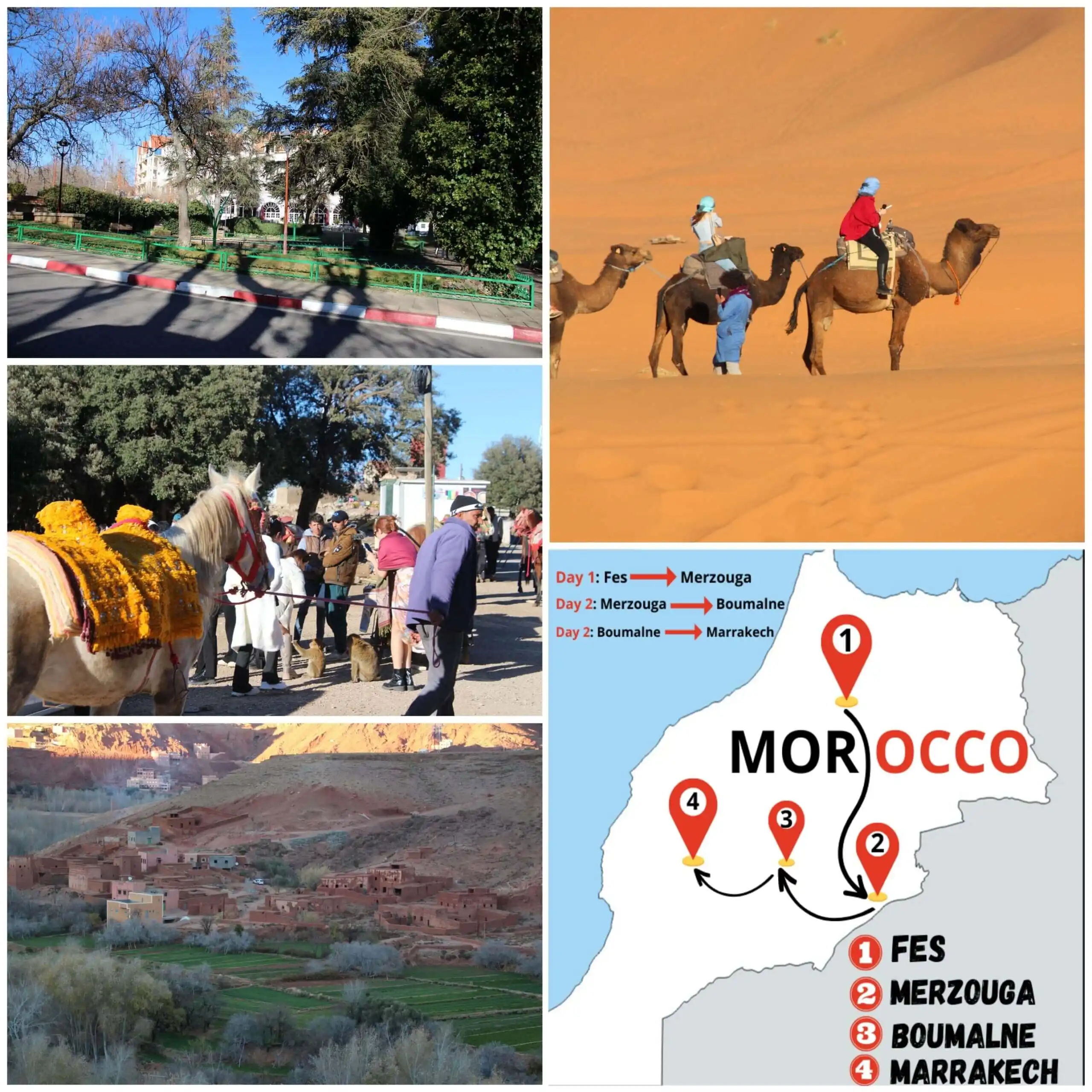 3 day tour fes to marrakech