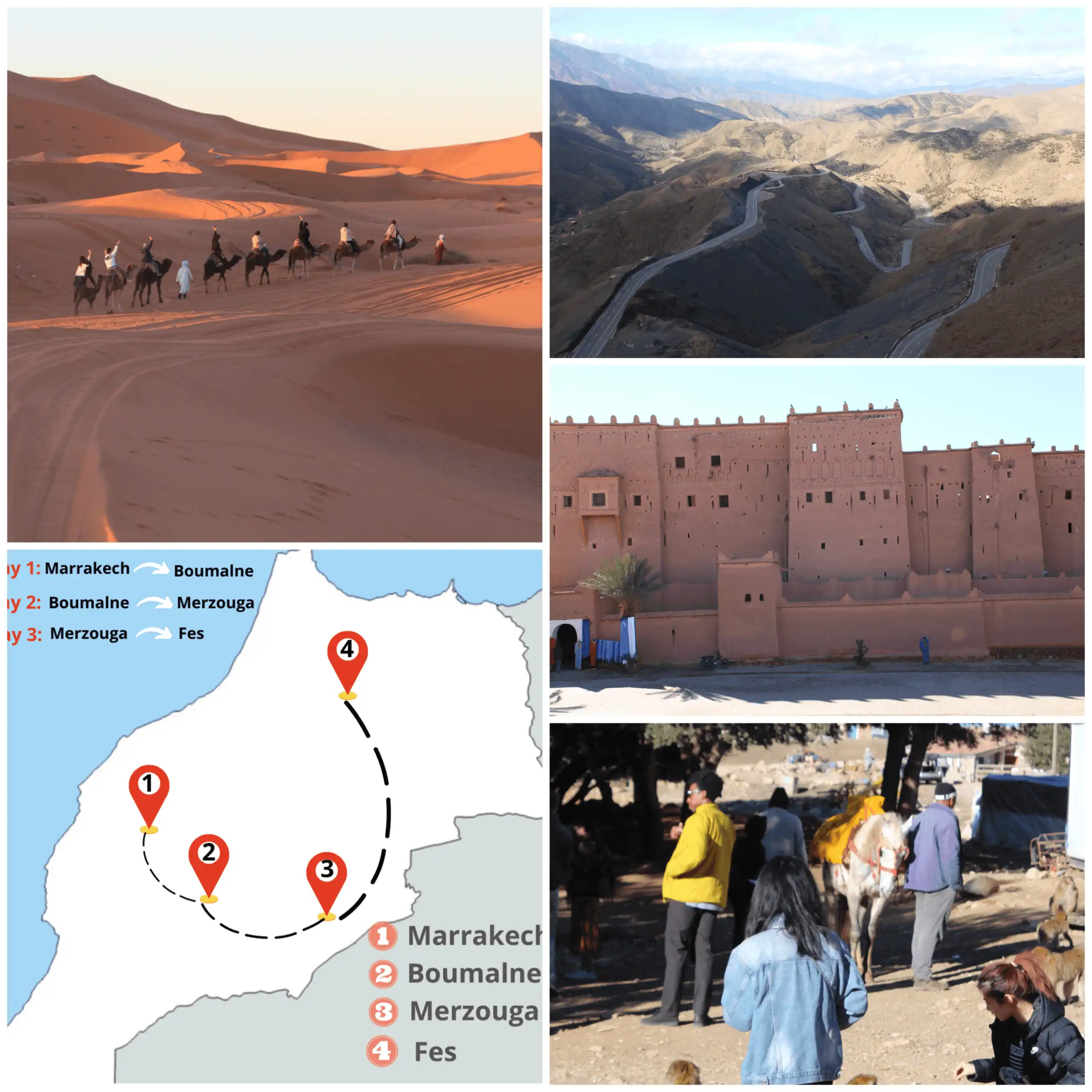 3 day tour marrakech to fes