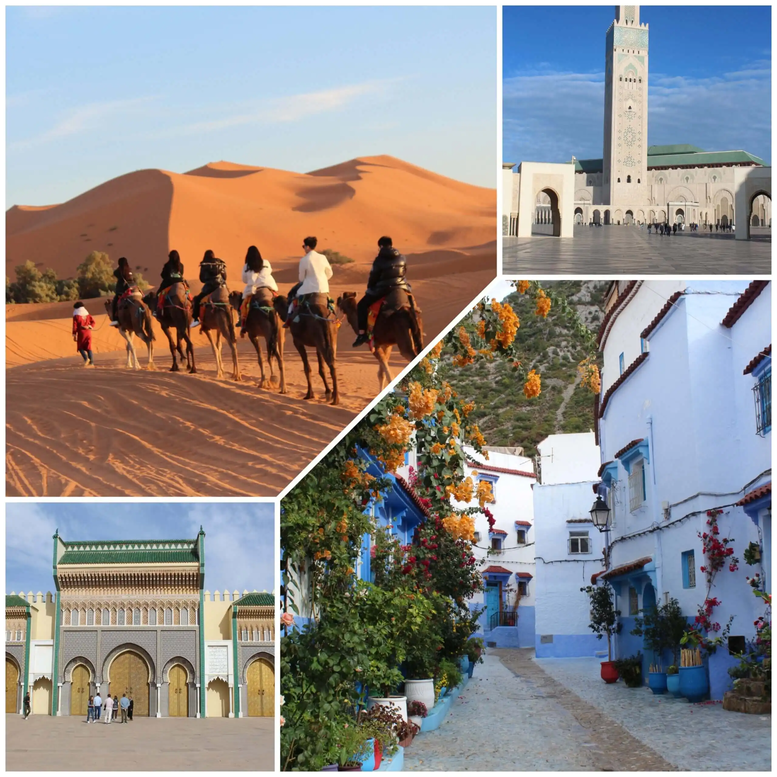 morocco travel tour
